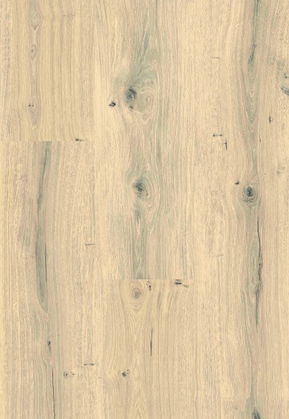 ZIRO Vinylboden Vinylan Pearl Oak Klick-Vinylboden